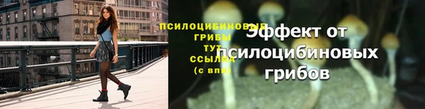 PSILOCYBIN Магадан