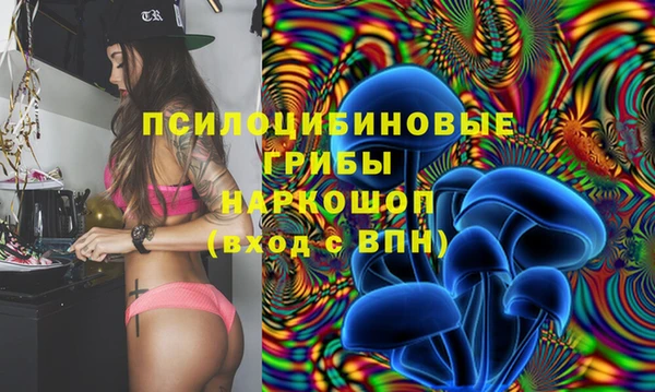 PSILOCYBIN Магадан