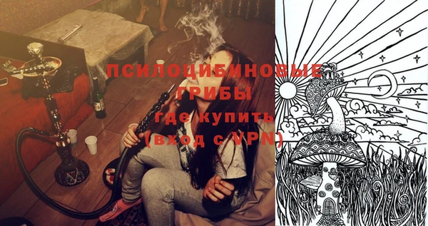 Альфа ПВП Мегион